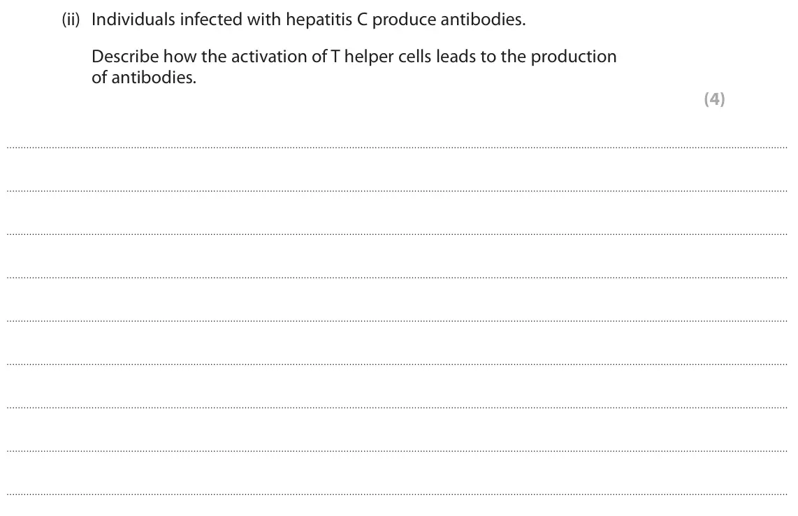 June 2024 Paper 1, question 9(a)(ii): Individuals infected with hepatitis C produce antibodies. Describe how the activation of T helper cells leads to the production of antibodies. (4)
