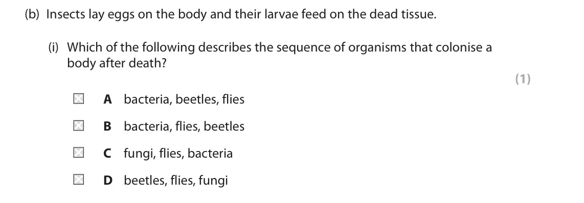 June 2025 Paper 1, question 1(b)(i): Which of the following describes the sequence of organisms that colonise a body after death? (1) A bacteria, beetles, flies B bacteria, flies, beetles C fungi,