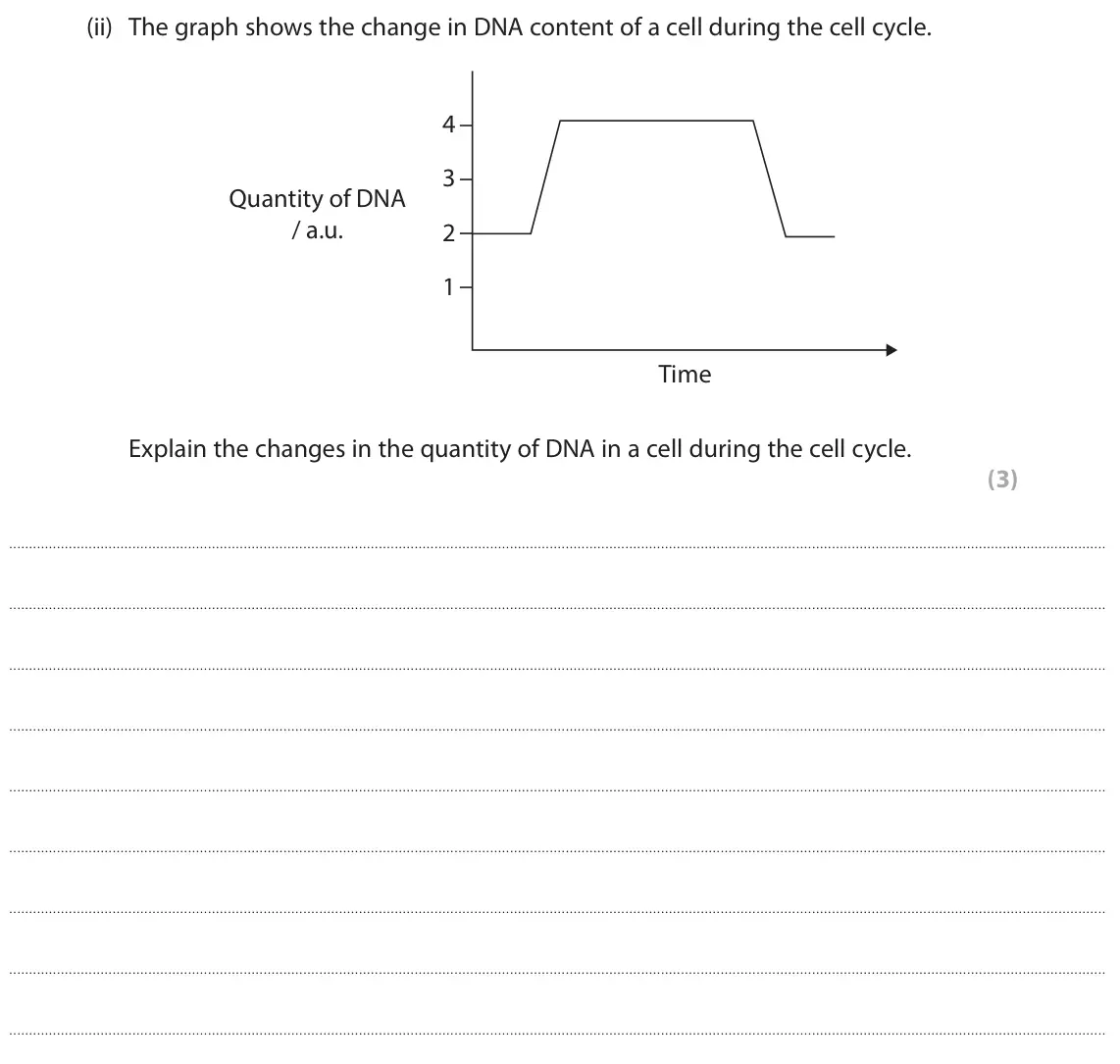 June 2025 Paper 1, question 3(a)(ii): The graph shows the change in DNA content of a cell during the cell cycle. 4 3 Quantity of DNA / a.u. 2 1 Time Explain the changes in the quantity of DNA in a c