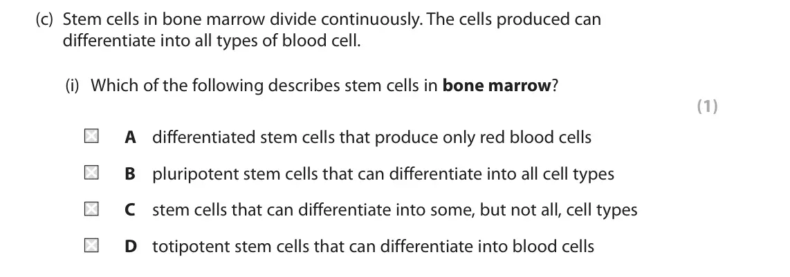 June 2025 Paper 1, question 3(c)(i): Which of the following describes stem cells in bone marrow? (1) A differentiated stem cells that produce only red blood cells B pluripotent stem cells that can