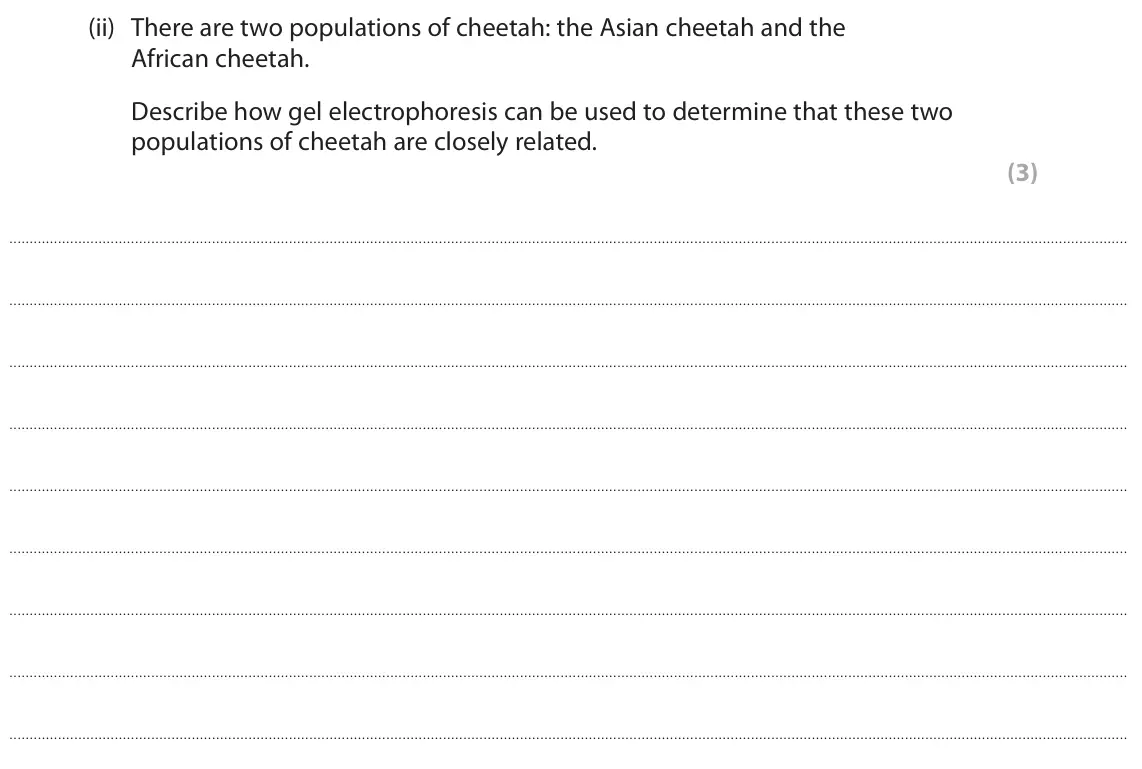 June 2025 Paper 1, question 4(a)(ii): There are two populations of cheetah: the Asian cheetah and the African cheetah. Describe how gel electrophoresis can be used to determine that these two popula