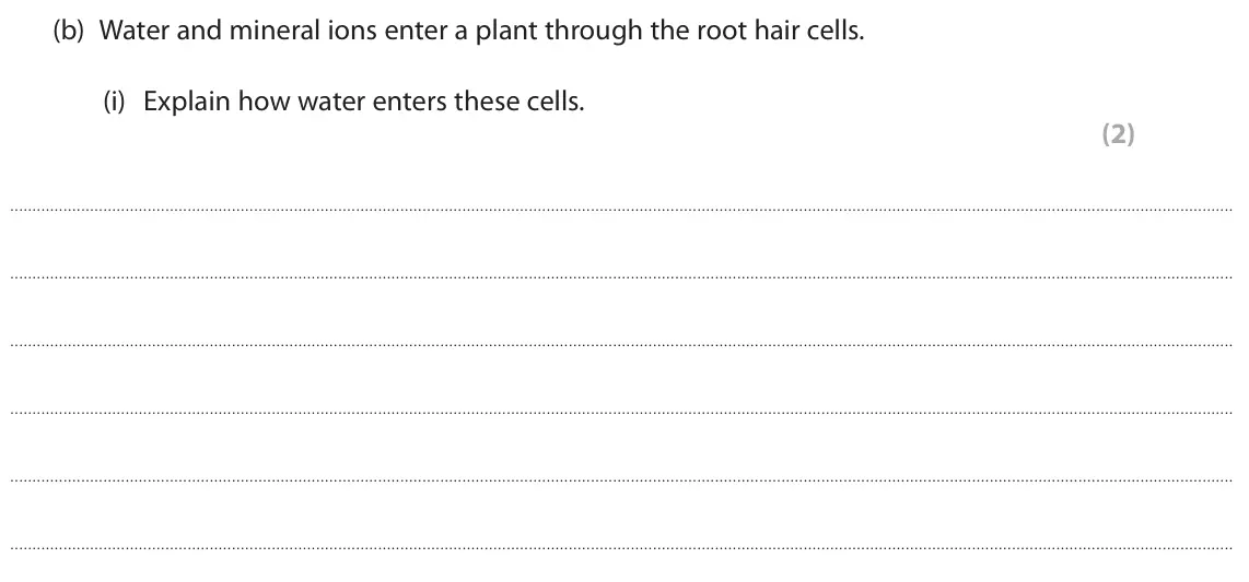 June 2025 Paper 1, question 5(b)(i): Explain how water enters these cells. (2)