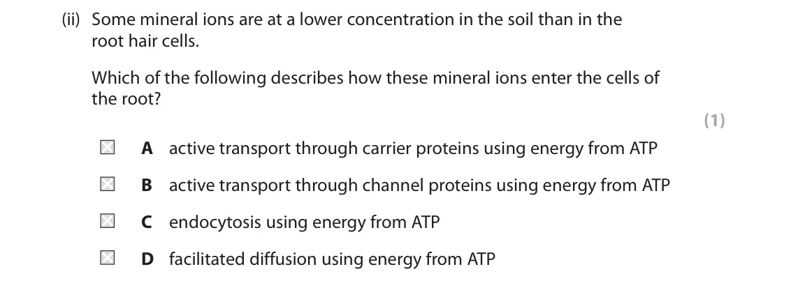 June 2025 Paper 1, question 5(b)(ii): Some mineral ions are at a lower concentration in the soil than in the root hair cells. Which of the following describes how these mineral ions enter the cells