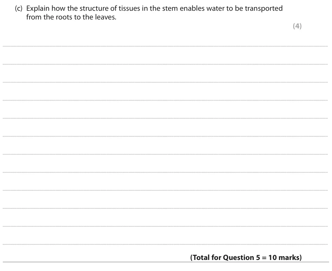 June 2025 Paper 1, question 5(c): Explain how the structure of tissues in the stem enables water to be transported from the roots to the leaves. (4)