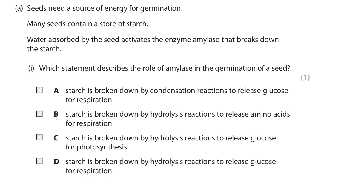 June 2025 Paper 1, question 10(a)(i): Which statement describes the role of amylase in the germination of a seed? (1) A starch is broken down by condensation reactions to release glucose for respira