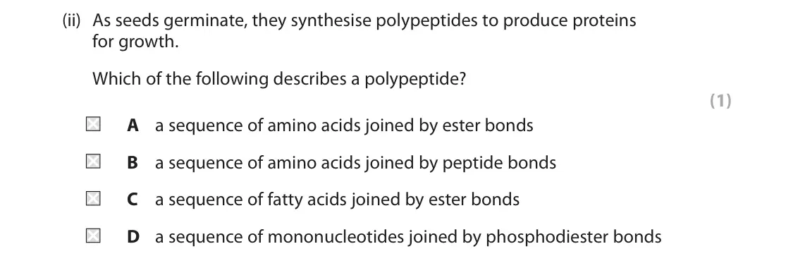 June 2025 Paper 1, question 10(a)(ii): As seeds germinate, they synthesise polypeptides to produce proteins for growth. Which of the following describes a polypeptide? (1) A a sequence of amino acids