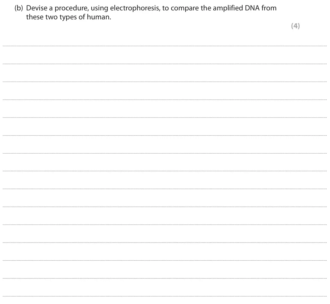 November 2021 Paper 1, question 2(b): Devise a procedure, using electrophoresis, to compare the amplified DNA from these two types of human. (4)