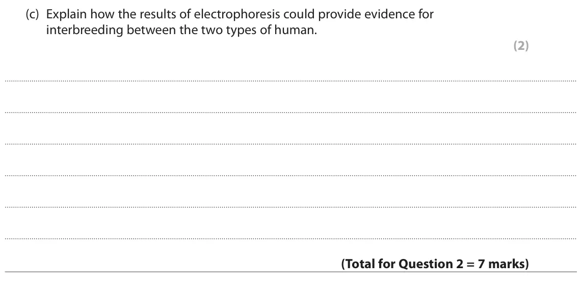November 2021 Paper 1, question 2(c): Explain how the results of electrophoresis could provide evidence for interbreeding between the two types of human. (2)