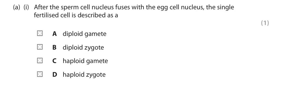 November 2021 Paper 1, question 4(a)(i): After the sperm cell nucleus fuses with the egg cell nucleus, the single fertilised cell is described as a (1) A diploid gamete B diploid zygote C haploid gamet