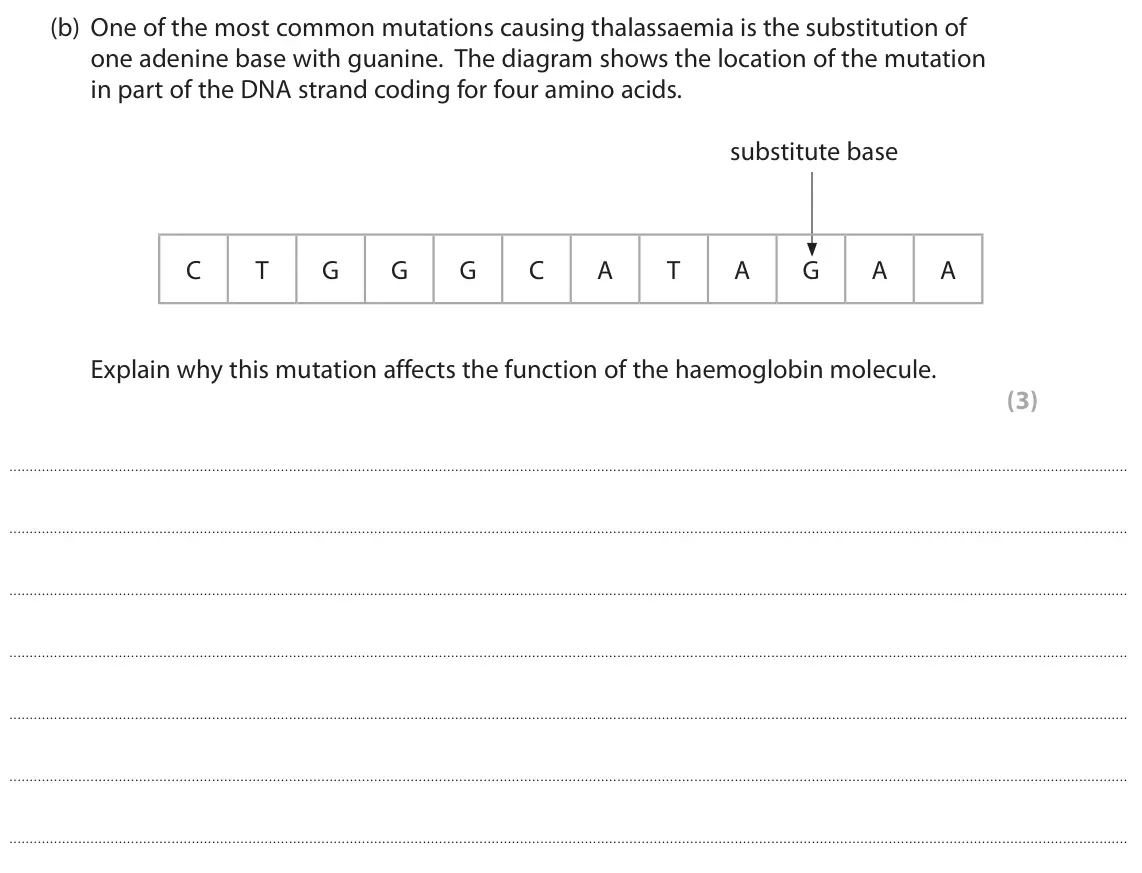 October 2020 Paper 1, question 4(b): One of the most common mutations causing thalassaemia is the substitution of one adenine base with guanine. The diagram shows the location of the mutation in pa