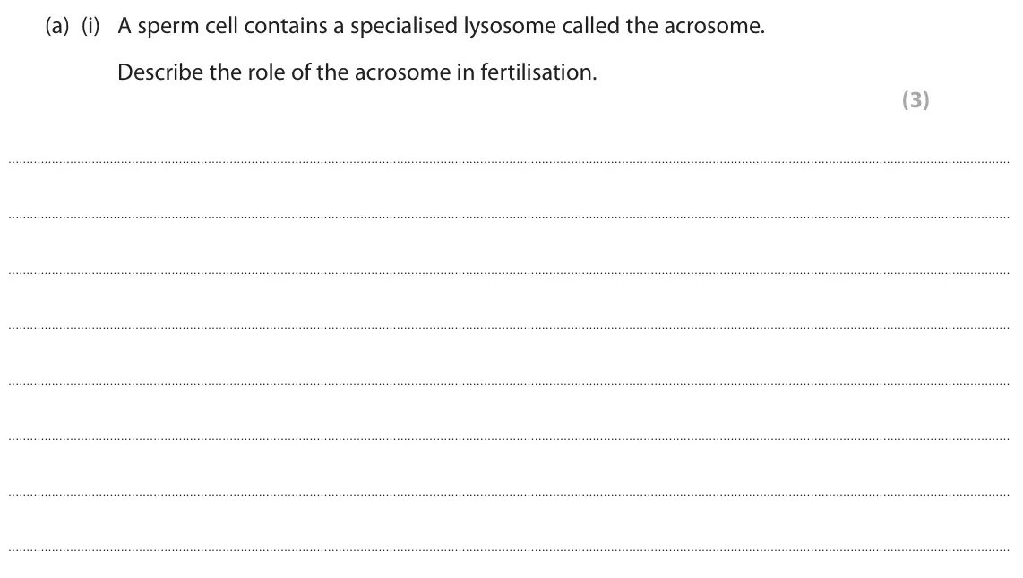 October 2020 Paper 1, question 5(a)(i): A sperm cell contains a specialised lysosome called the acrosome. Describe the role of the acrosome in fertilisation. (3)