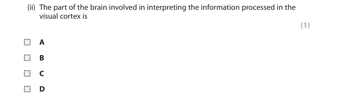 June 2018 Paper 2, question 4(a)(ii): The part of the brain involved in interpreting the information processed in the visual cortex is (1) A B C D