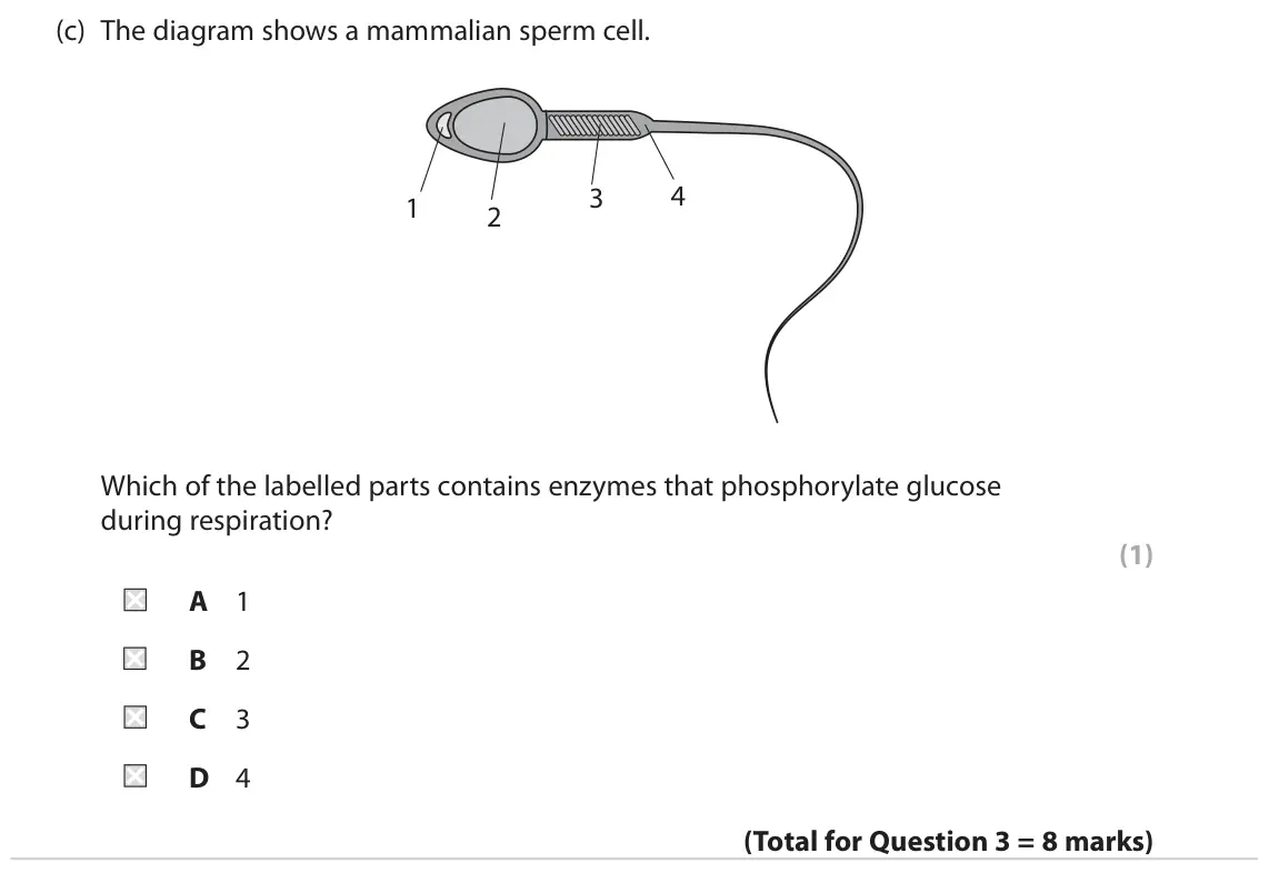 June 2022 Paper 2, question 3(c): The diagram shows a mammalian sperm cell. 4 3 1 2 Which of the labelled parts contains enzymes that phosphorylate glucose during respiration? (1) A 1 B 2 C 3 D
