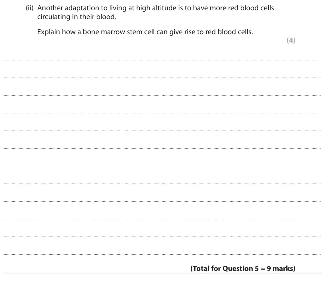 June 2022 Paper 2, question 5(b)(ii): Another adaptation to living at high altitude is to have more red blood cells circulating in their blood. Explain how a bone marrow stem cell can give rise to r