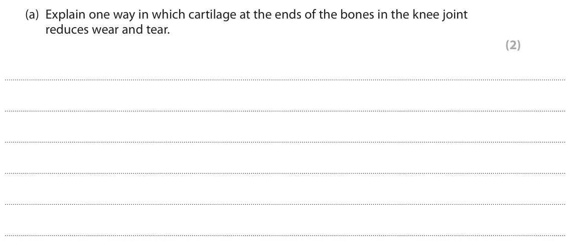 June 2022 Paper 2, question 10(a): Explain one way in which cartilage at the ends of the bones in the knee joint reduces wear and tear. (2)