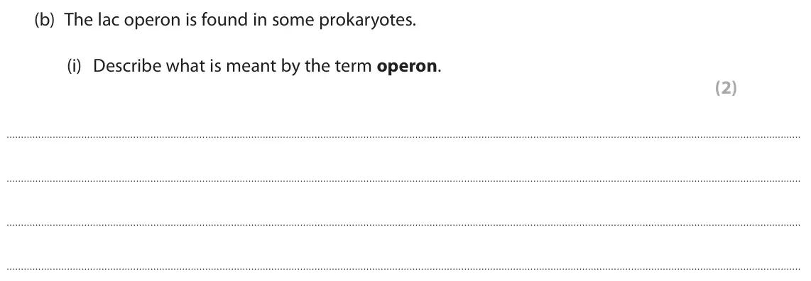 June 2023 Paper 2, question 2(b)(i): Describe what is meant by the term operon. (2)