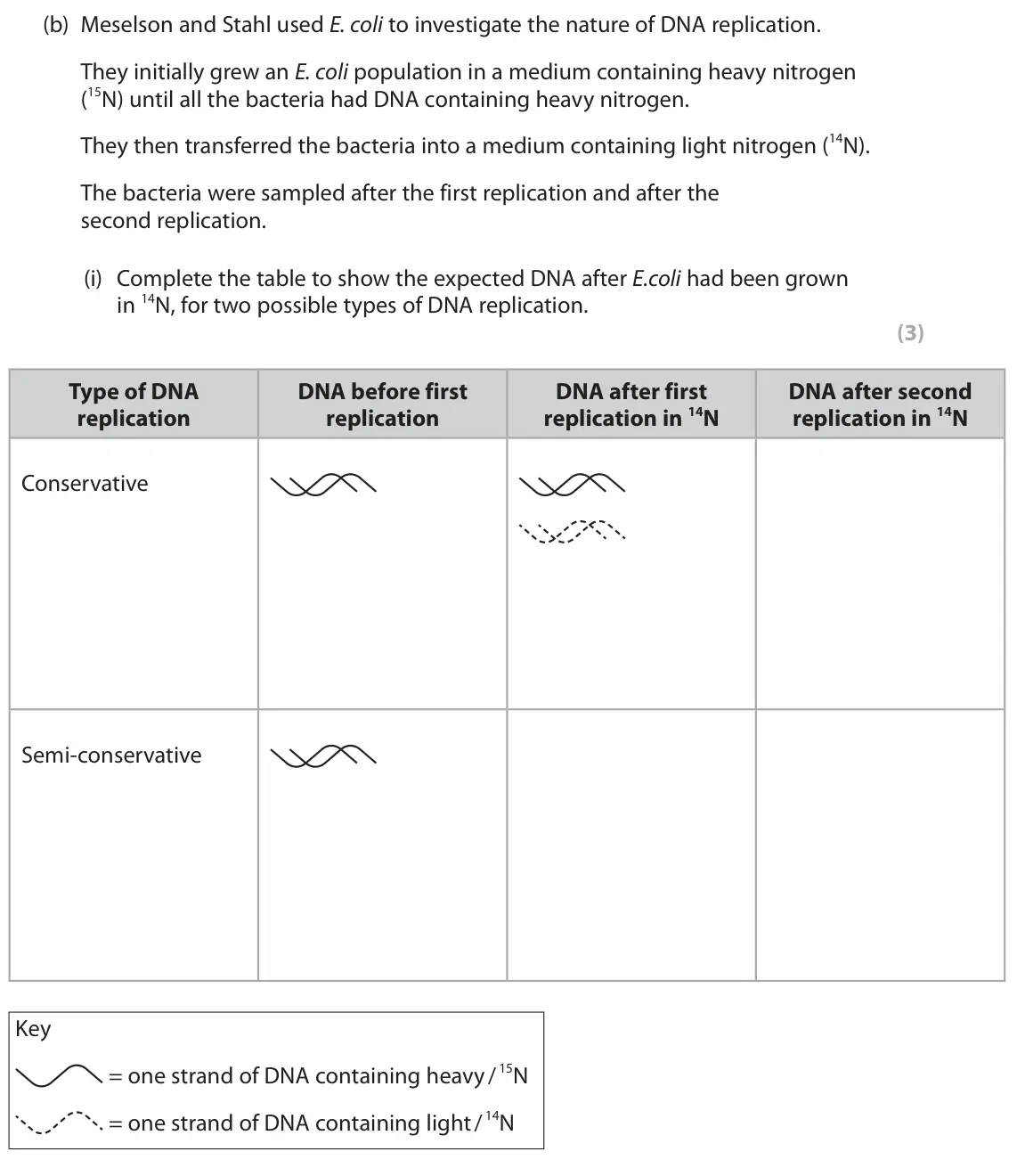 June 2023 Paper 2, question 5(b)(i): Complete the table to show the expected DNA after E.coli had been grown in 14N, for two possible types of DNA replication. (3) Type of DNA DNA before first DNA
