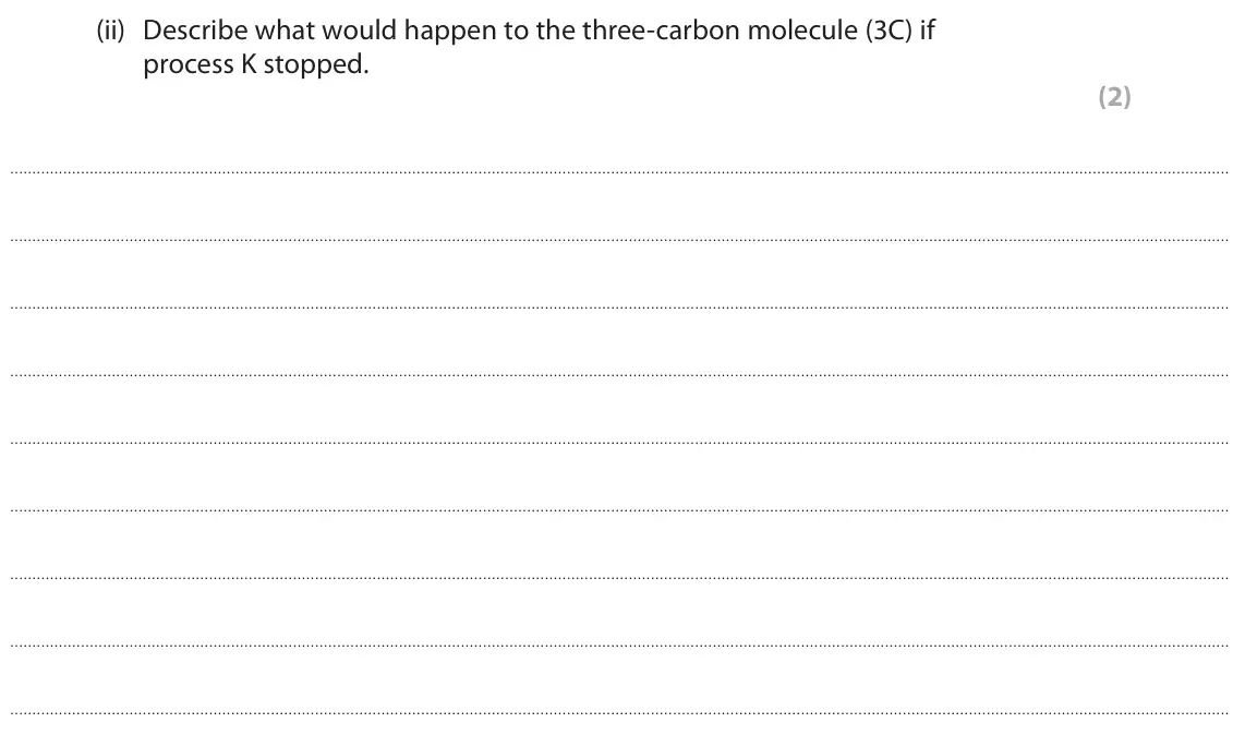 June 2023 Paper 2, question 6(a)(ii): Describe what would happen to the three-carbon molecule (3C) if process K stopped. (2)