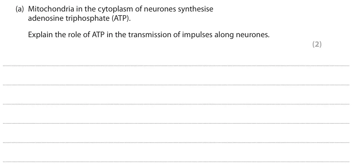 June 2023 Paper 2, question 8(a): Mitochondria in the cytoplasm of neurones synthesise adenosine triphosphate (ATP). Explain the role of ATP in the transmission of impulses along neurones. (2)