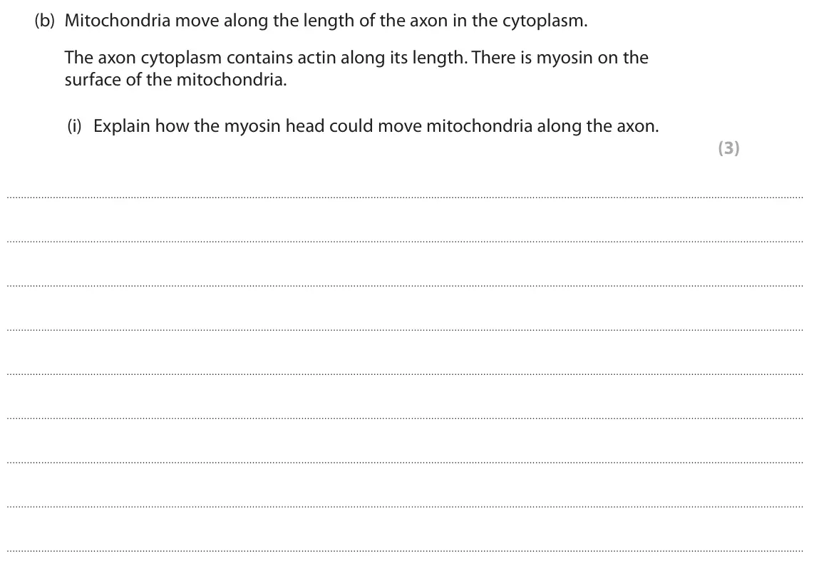 June 2023 Paper 2, question 8(b)(i): Explain how the myosin head could move mitochondria along the axon. (3)