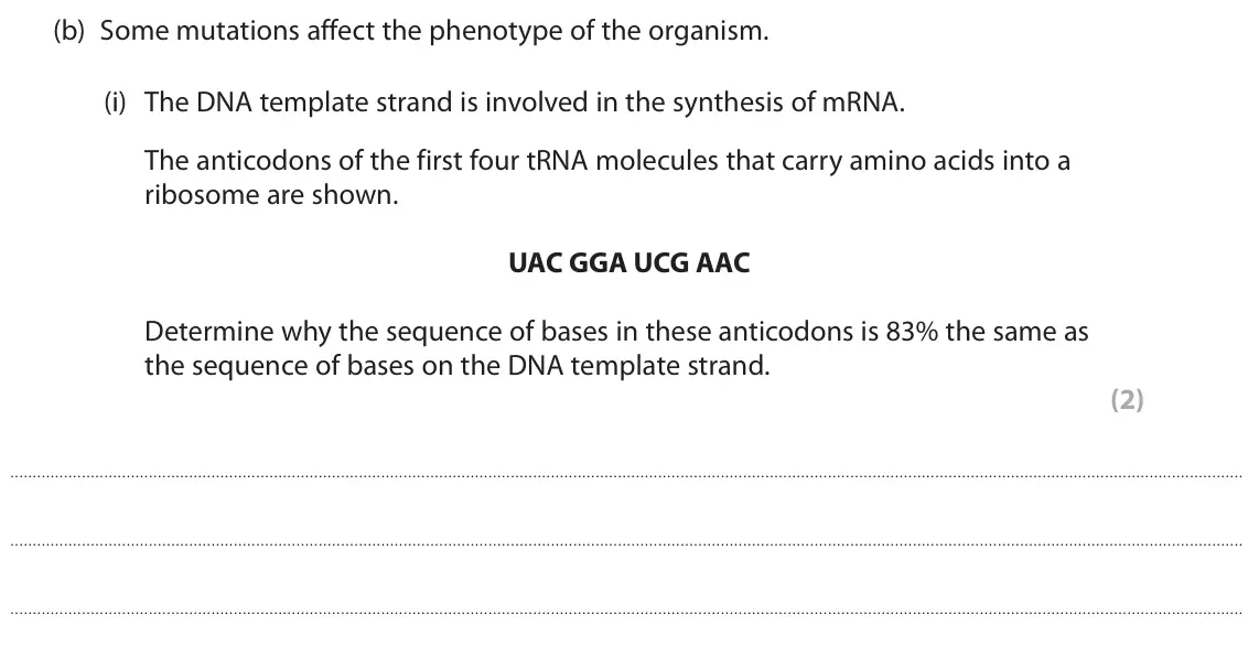 June 2024 Paper 2, question 4(b)(i): The DNA template strand is involved in the synthesis of mRNA. The anticodons of the first four tRNA molecules that carry amino acids into a ribosome are shown.