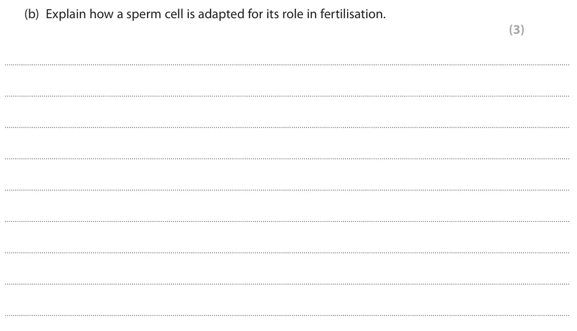 June 2024 Paper 2, question 6(b): Explain how a sperm cell is adapted for its role in fertilisation. (3)