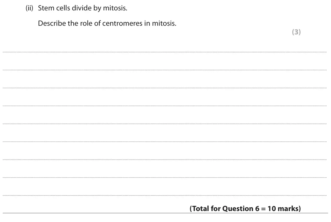 June 2024 Paper 2, question 6(c)(ii): Stem cells divide by mitosis. Describe the role of centromeres in mitosis. (3)