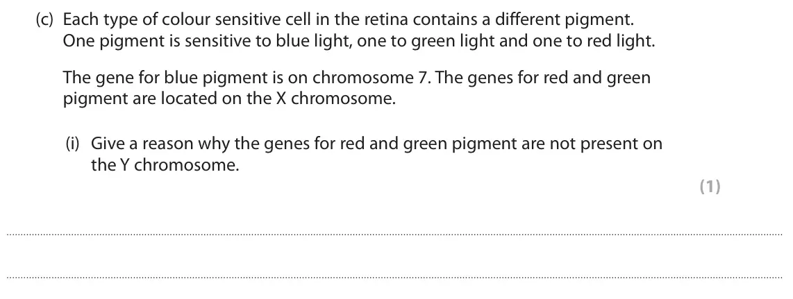 June 2024 Paper 2, question 7(c)(i): Give a reason why the genes for red and green pigment are not present on the Y chromosome. (1)