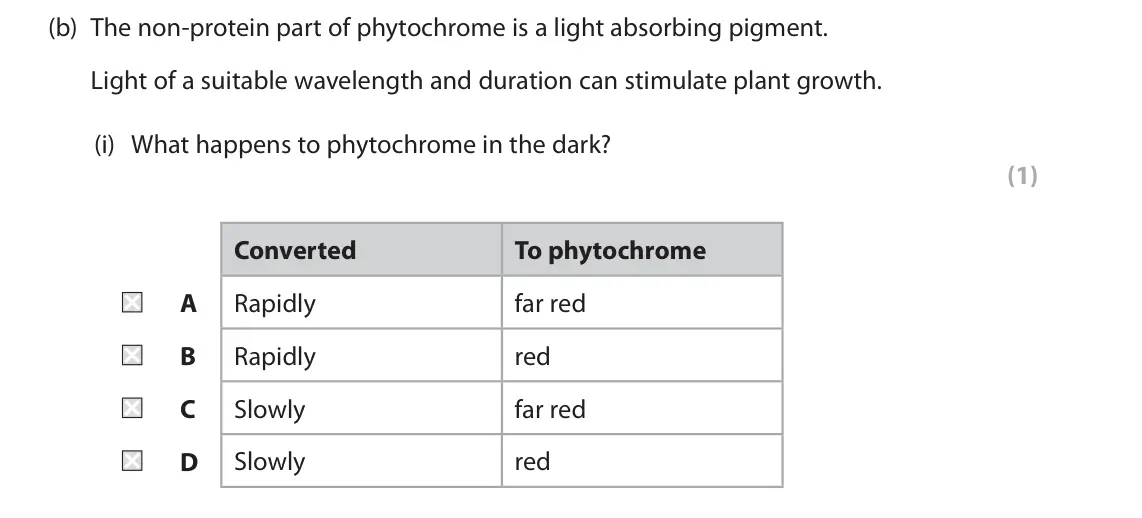 June 2024 Paper 2, question 8(b)(i): What happens to phytochrome in the dark? (1) Converted To phytochrome A Rapidly far red B Rapidly red C Slowly far red D Slowly red