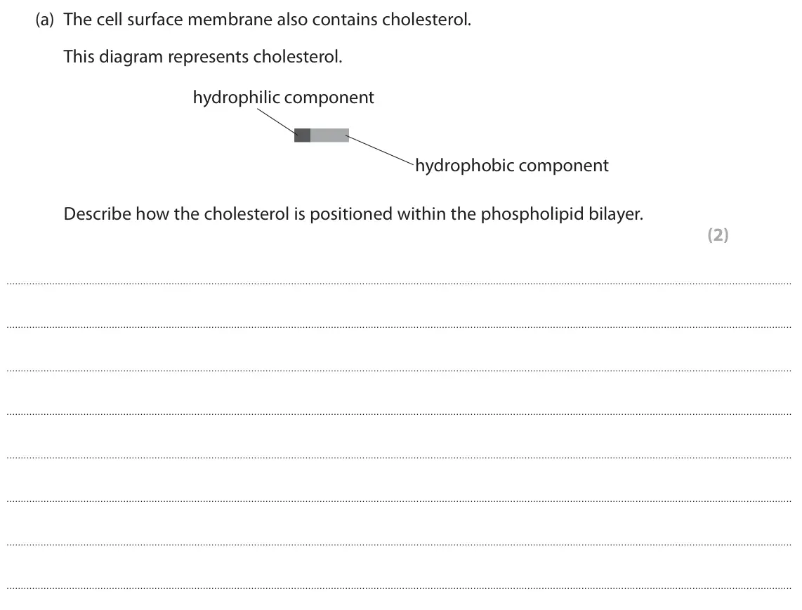 June 2025 Paper 2, question 3(a): The cell surface membrane also contains cholesterol. This diagram represents cholesterol. hydrophilic component hydrophobic component Describe how the cholester