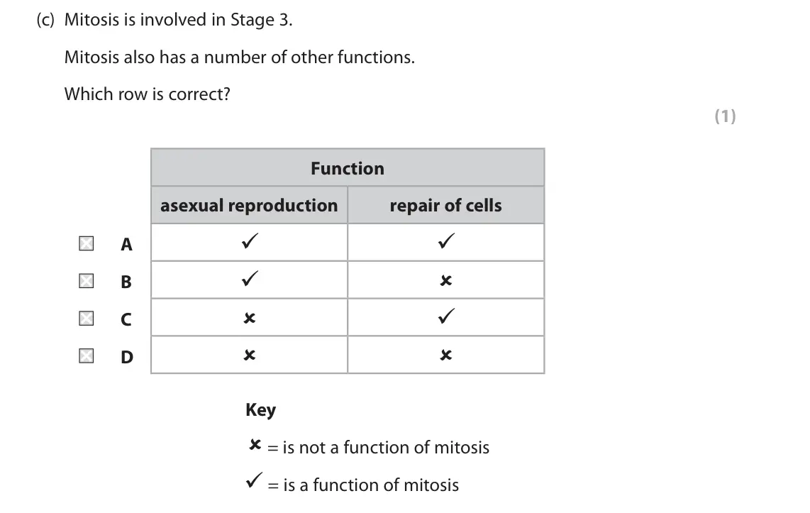 June 2025 Paper 2, question 5(c): Mitosis is involved in Stage 3. Mitosis also has a number of other functions. Which row is correct? (1) Function asexual reproduction repair of cells   A   