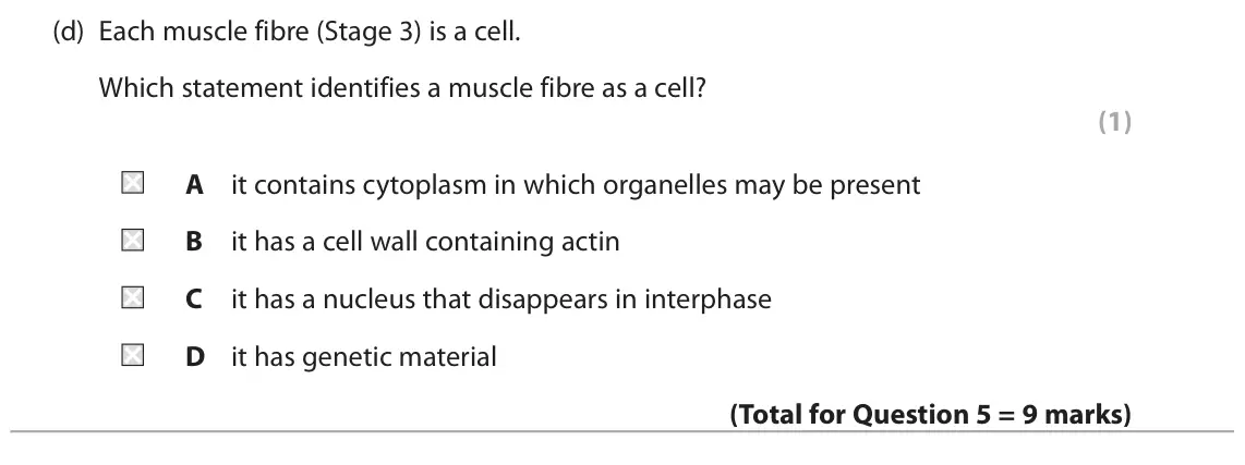 June 2025 Paper 2, question 5(d): Each muscle fibre (Stage 3) is a cell. Which statement identifies a muscle fibre as a cell? (1) A it contains cytoplasm in which organelles may be present B it