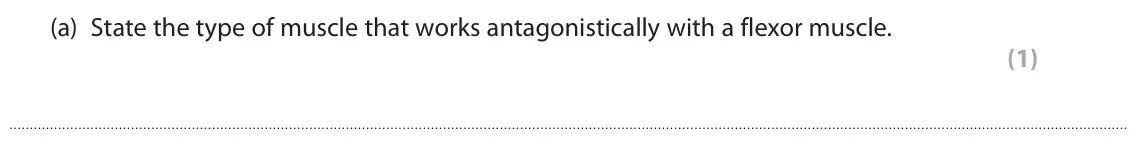 June 2025 Paper 2, question 6(a): State the type of muscle that works antagonistically with a flexor muscle. (1)