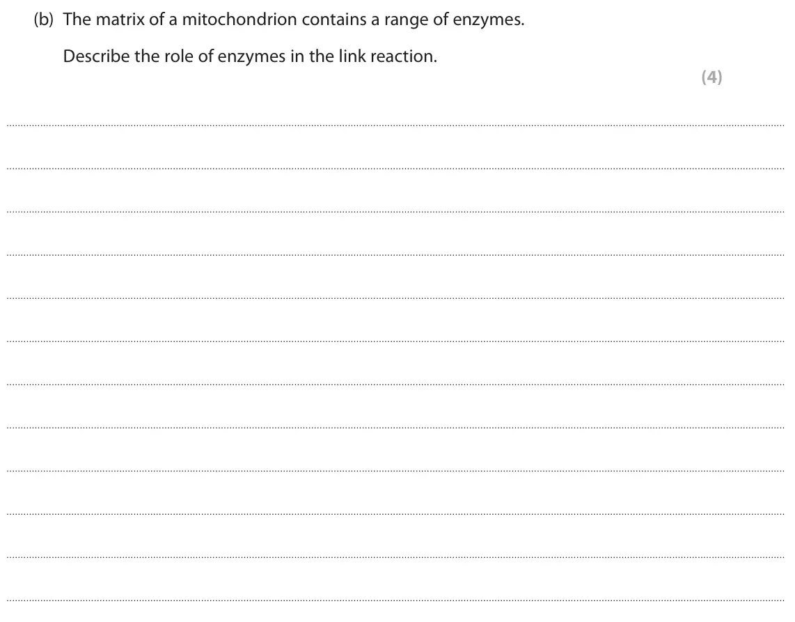 June 2025 Paper 2, question 7(b): The matrix of a mitochondrion contains a range of enzymes. Describe the role of enzymes in the link reaction. (4)
