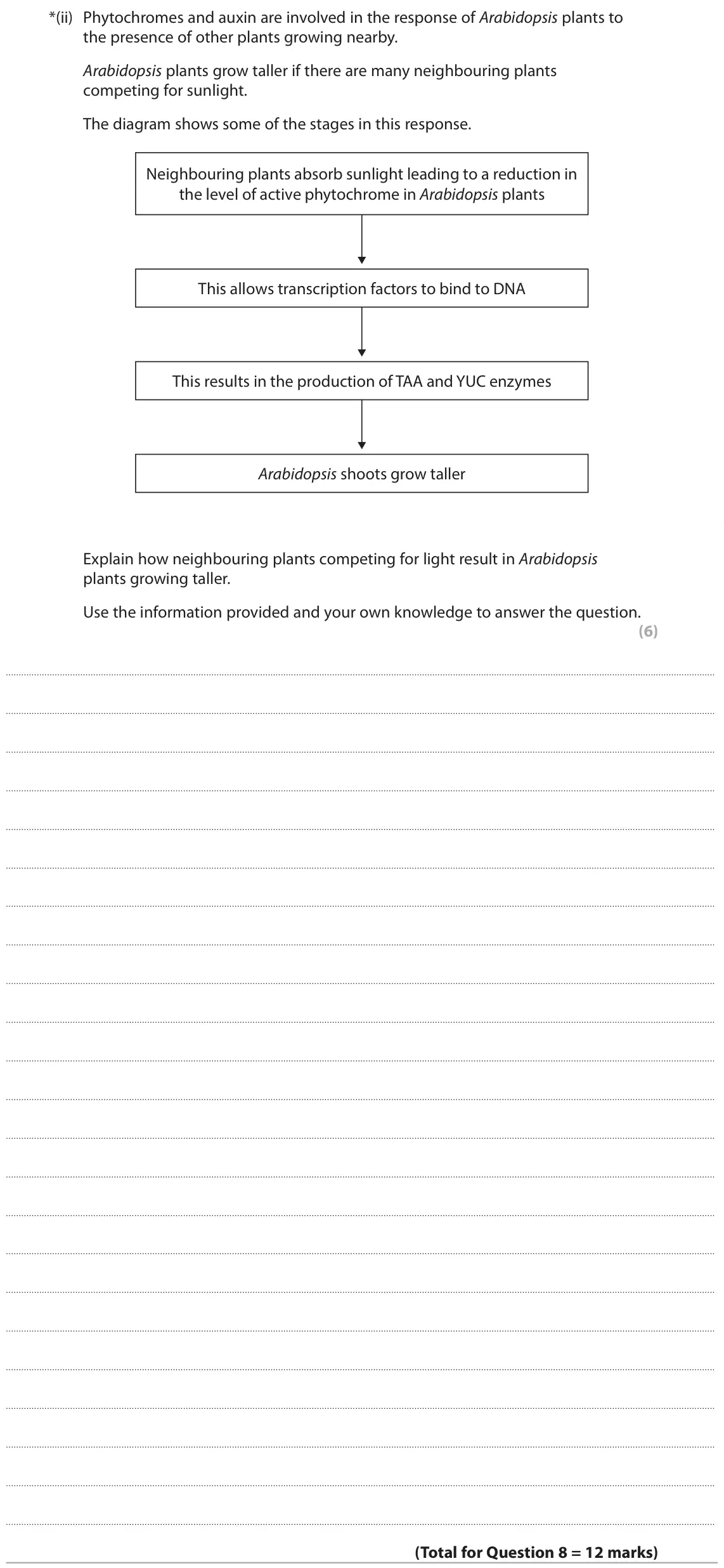 June 2025 Paper 2, question 8(b)(ii): Phytochromes and auxin are involved in the response of Arabidopsis plants to the presence of other plants growing nearby. Arabidopsis plants grow taller if ther