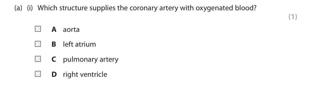 June 2025 Paper 2, question 10(a)(i): Which structure supplies the coronary artery with oxygenated blood? (1) A aorta B left atrium C pulmonary artery D right ventricle