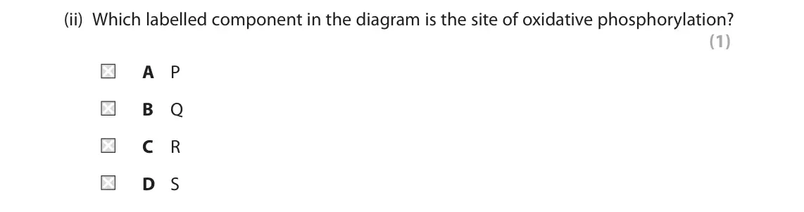 November 2021 Paper 2, question 8(a)(ii): Which labelled component in the diagram is the site of oxidative phosphorylation? (1) A P B Q C R D S