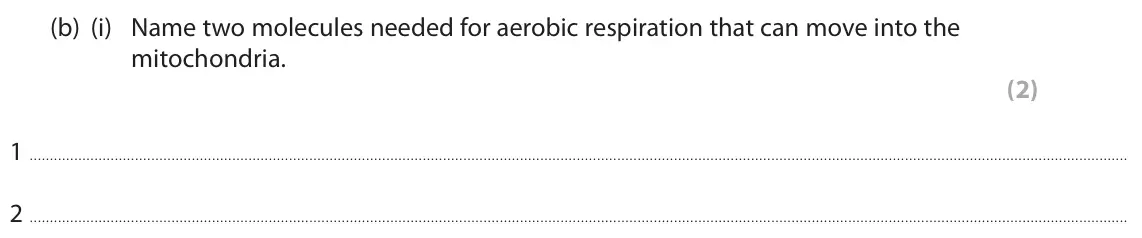 November 2021 Paper 2, question 8(b)(i): Name two molecules needed for aerobic respiration that can move into the mitochondria. (2) 1 2