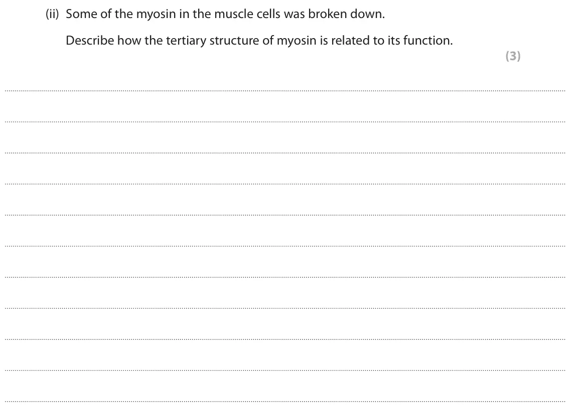 November 2021 Paper 2, question 9(b)(ii): Some of the myosin in the muscle cells was broken down. Describe how the tertiary structure of myosin is related to its function. (3)