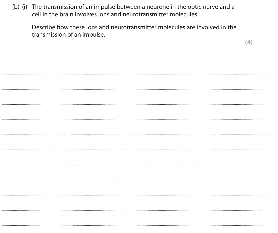 November 2021 Paper 2, question 10(b)(i): The transmission of an impulse between a neurone in the optic nerve and a cell in the brain involves ions and neurotransmitter molecules. Describe how these ion