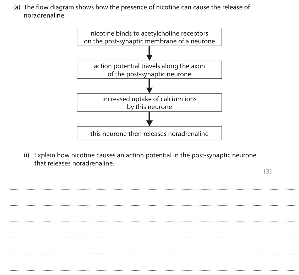 October 2020 Paper 2, question 9(a)(i): Explain how nicotine causes an action potential in the post-synaptic neurone that releases noradrenaline. (3)