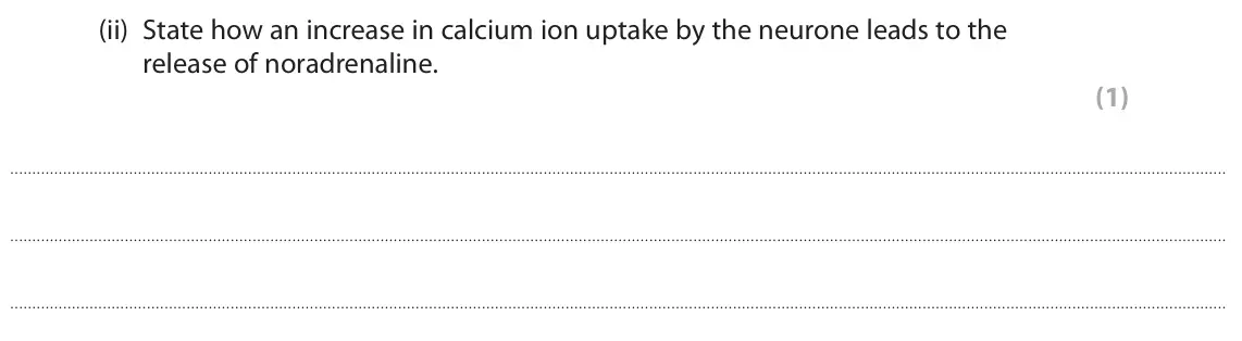 October 2020 Paper 2, question 9(a)(ii): State how an increase in calcium ion uptake by the neurone leads to the release of noradrenaline. (1)