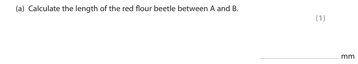 June 2022 Paper 3, question 6(a): Calculate the length of the red flour beetle between A and B. (1) mm