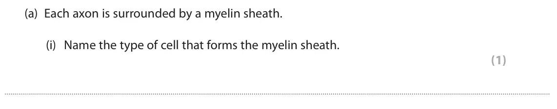 June 2023 Paper 3, question 5(a)(i): Name the type of cell that forms the myelin sheath. (1)