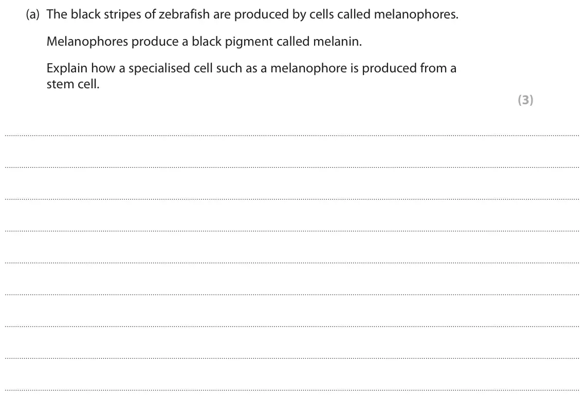June 2023 Paper 3, question 6(a): The black stripes of zebrafish are produced by cells called melanophores. Melanophores produce a black pigment called melanin. Explain how a specialised cell su