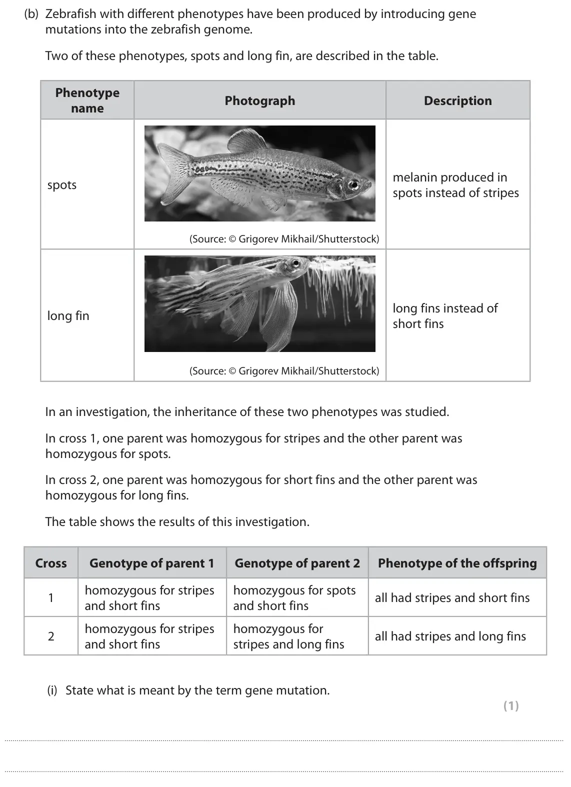June 2023 Paper 3, question 6(b)(i): State what is meant by the term gene mutation. (1)