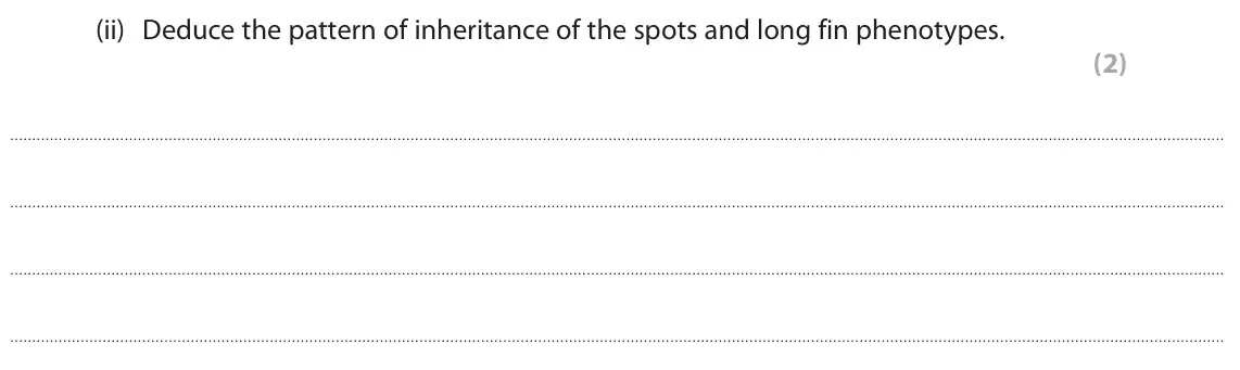 June 2023 Paper 3, question 6(b)(ii): Deduce the pattern of inheritance of the spots and long fin phenotypes. (2)