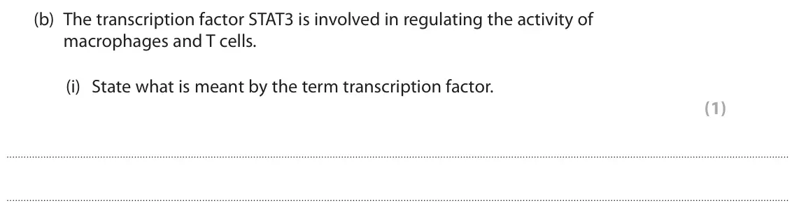 June 2023 Paper 3, question 7(b)(i): State what is meant by the term transcription factor. (1)