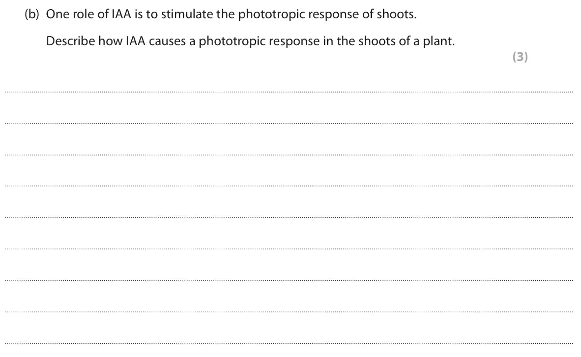 June 2024 Paper 3, question 1(b): One role of IAA is to stimulate the phototropic response of shoots. Describe how IAA causes a phototropic response in the shoots of a plant. (3)