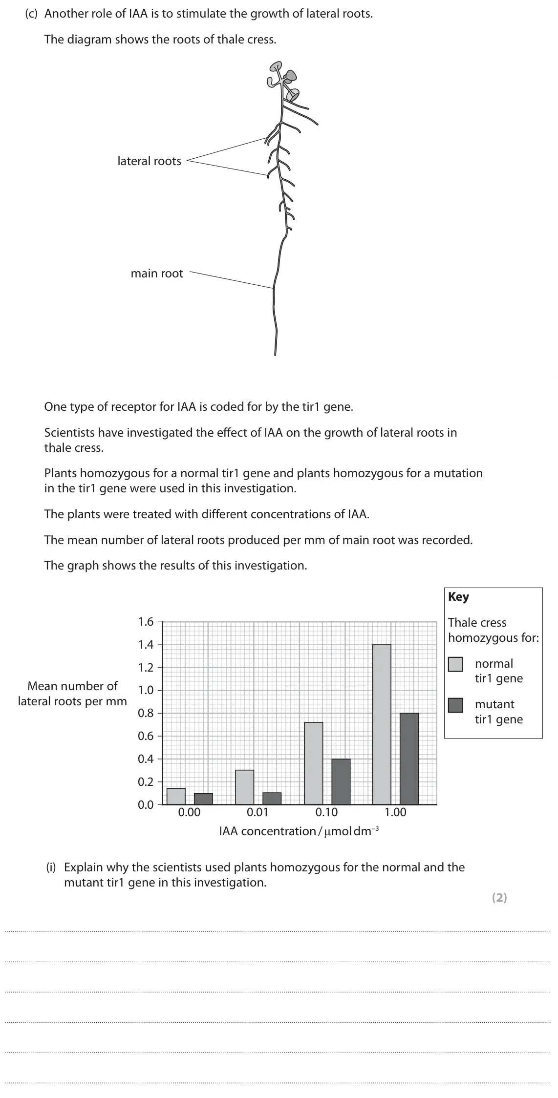 June 2024 Paper 3, question 1(c)(i): Explain why the scientists used plants homozygous for the normal and the mutant tir1 gene in this investigation. (2)